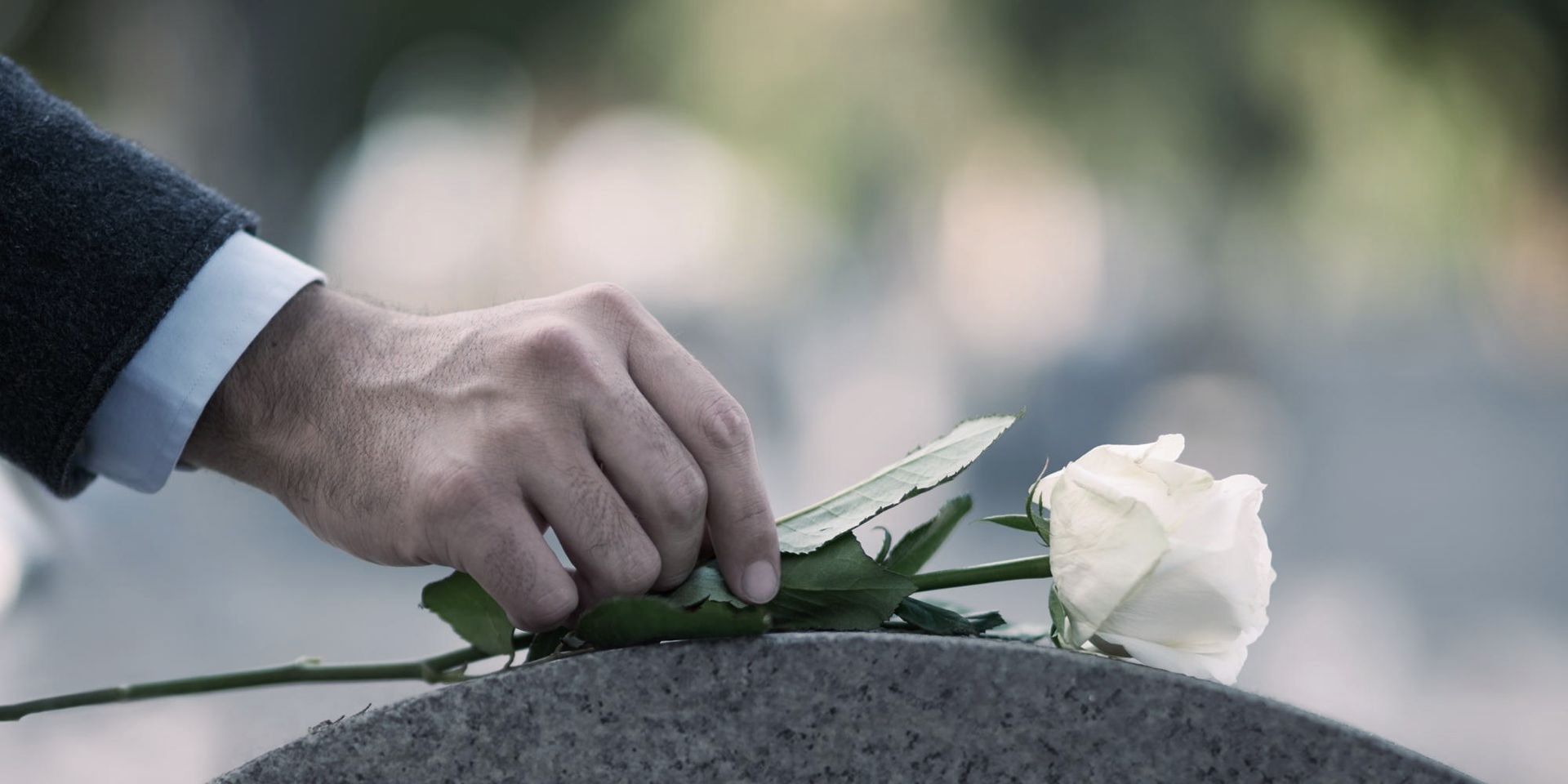 Flower placed on gravestone