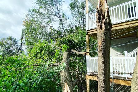 a tree that has been knocked over by a storm is in front of a house .