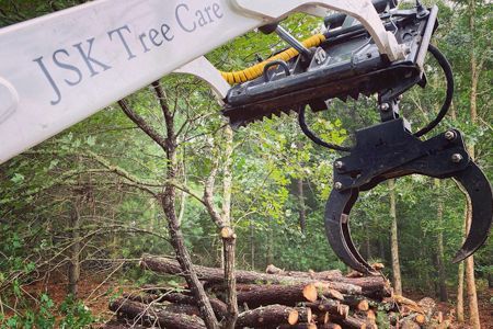 a crane is lifting a pile of logs in the woods .