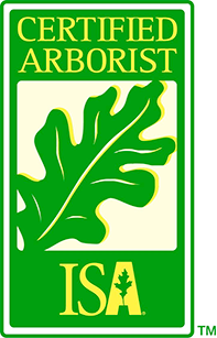 a certified arborist logo with a leaf on it