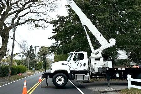 White utility truck with extended boom arm parked on a street near trees and power lines.
