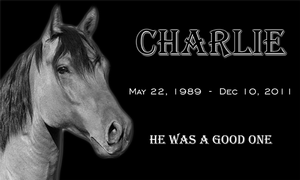 Black-and-white memorial for Charlie, a horse, with dates May 22, 1989–Dec. 10, 2011, and “He was a good one.”