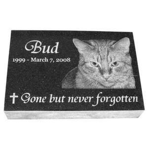 Cat memorial plaque engraved “Bud,” dates, and “Gone but never forgotten” with a cat portrait.