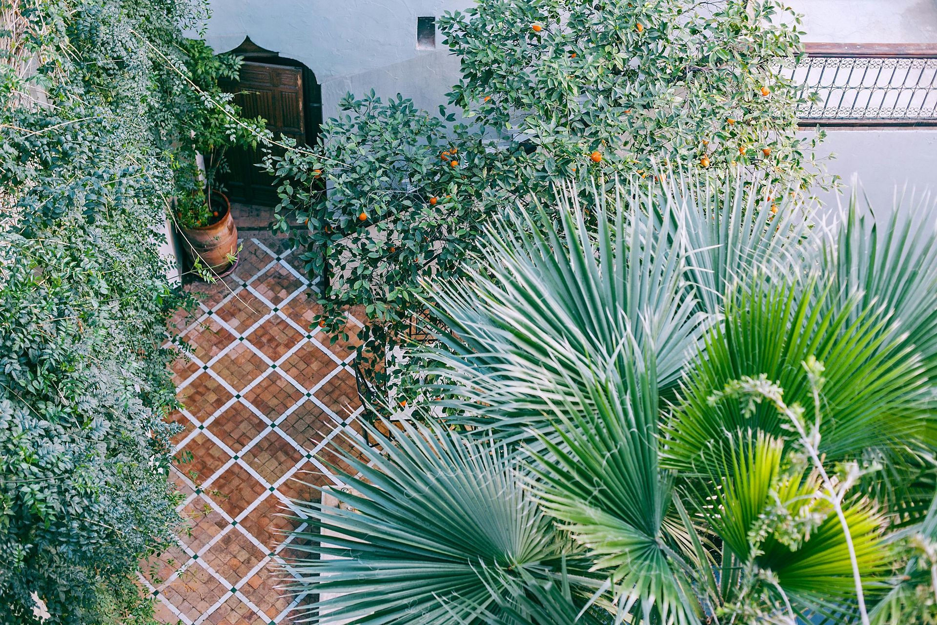 Overhead view of a lush courtyard with a brick walkway, surrounded by greenery and palm trees.