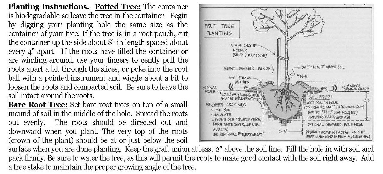 Planting Instructions