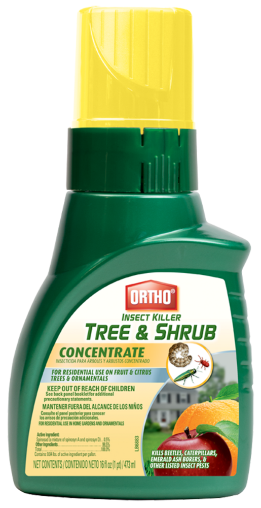 Tree & Shrub Concentrate