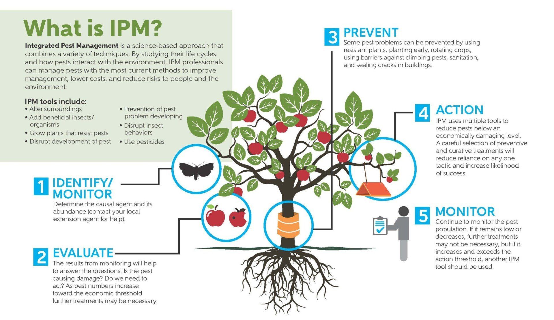 What is IPM?
