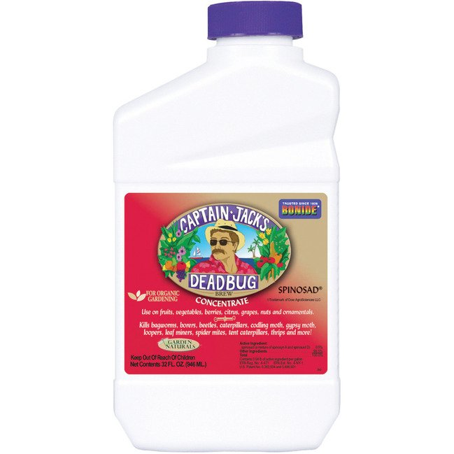 Captain Jacks Dead Bug Brew