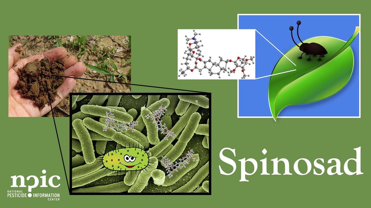 Spinosad Description