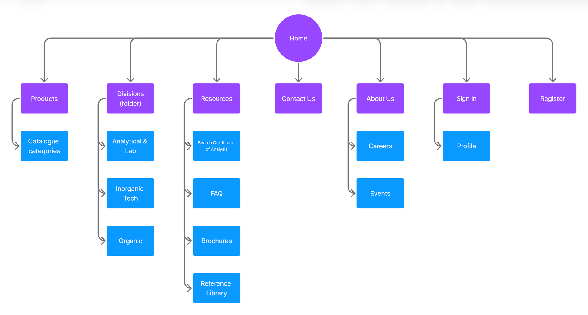 Information Architecture