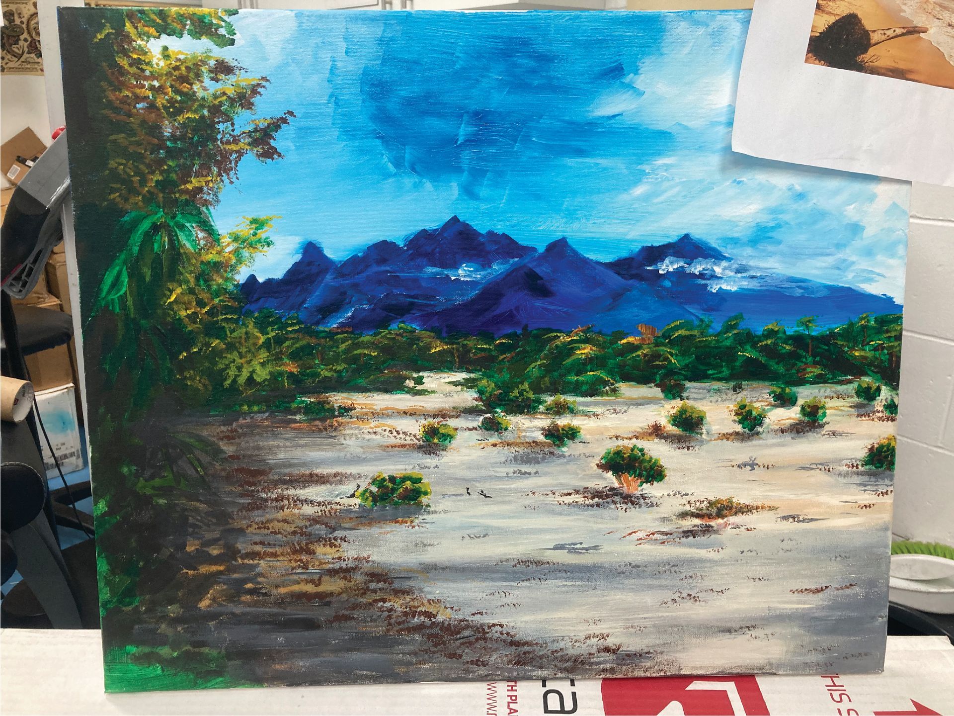 A painting of a desert with mountains in the background — Cairns Custom T-Shirts In Cairns City, QLD