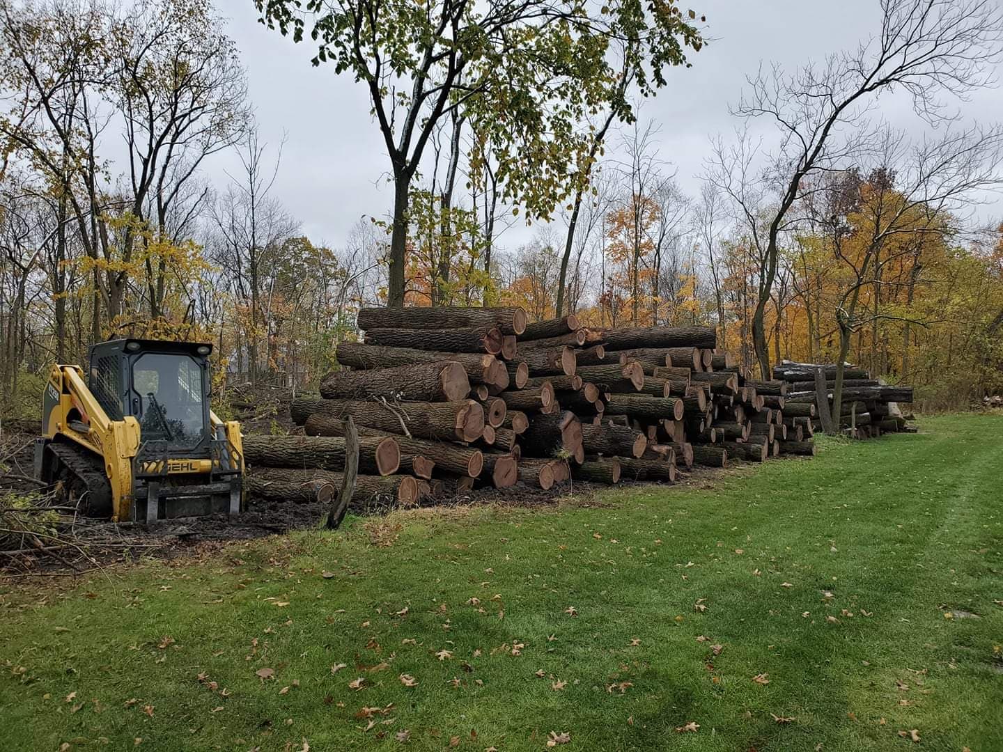pile of logs with skidsteer