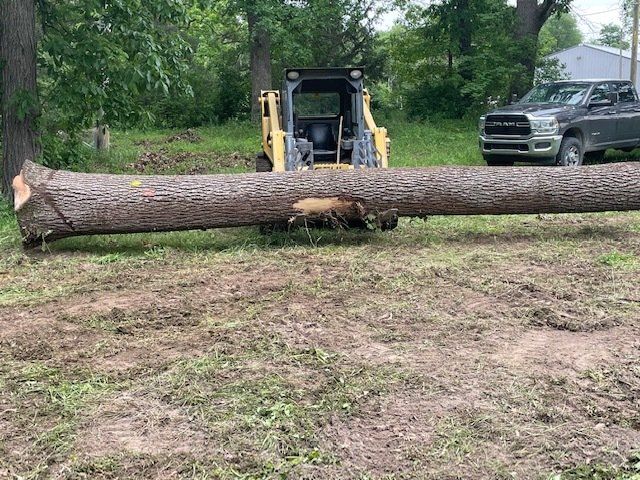 skidsteer with log