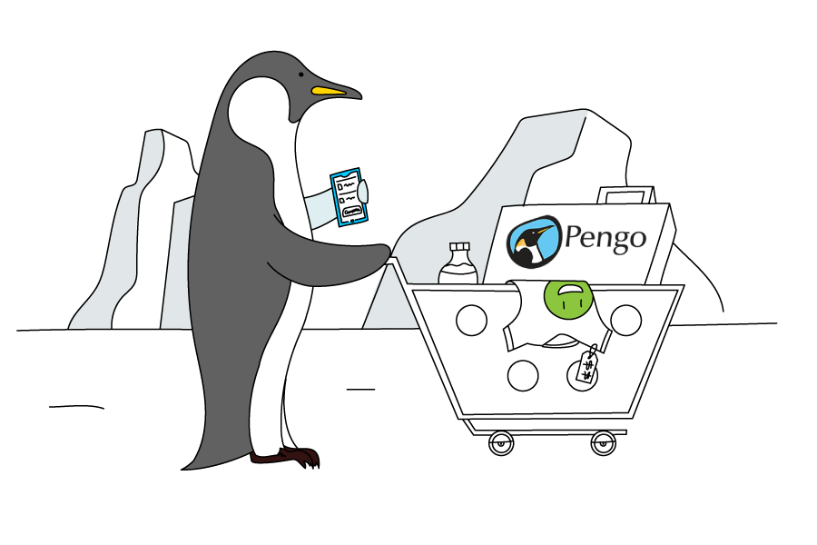 eCommerce pengo agencia de ecommerce
