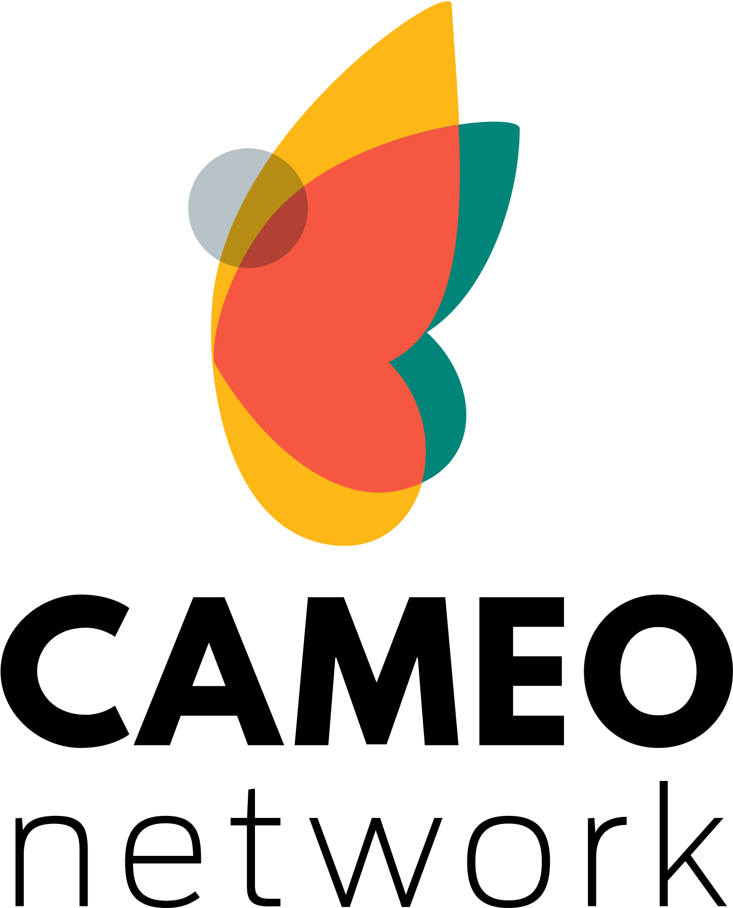 Logo for CAMEO network featuring a stylized butterfly with overlapping orange, yellow, and teal wings.