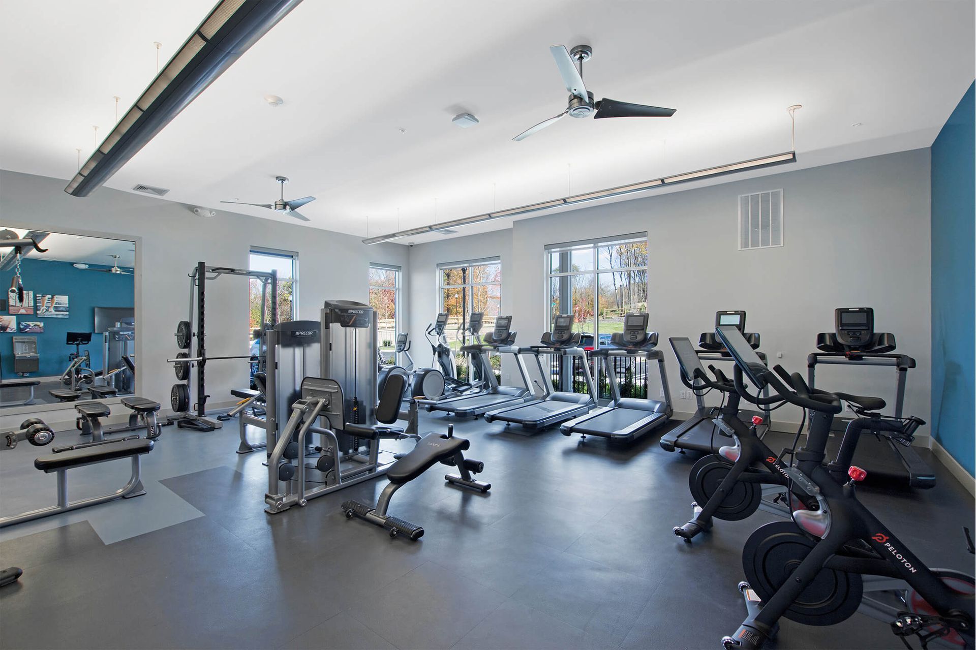 Modern gym with treadmills, weight machines, free weights, and mirrors near large windows at The Parc at Roxbury in  Roxbury, NJ.