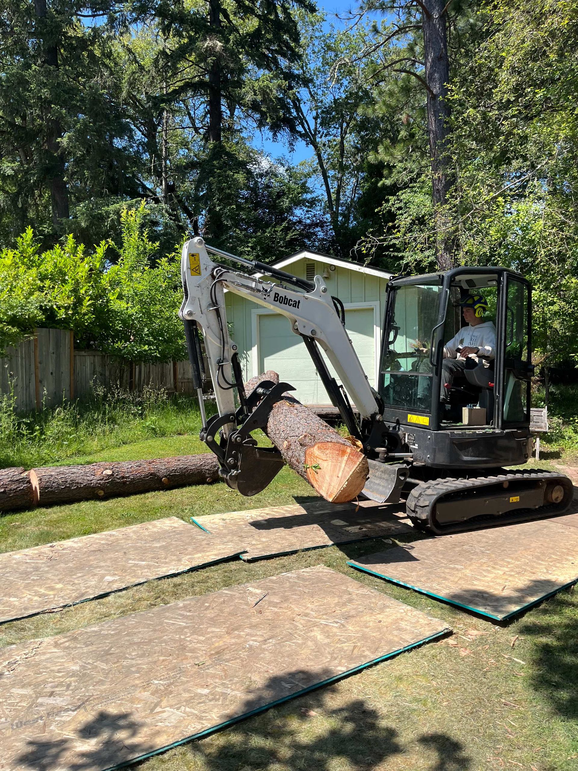 Mini excavator loading a log in a sunny backyard with trees and a fence