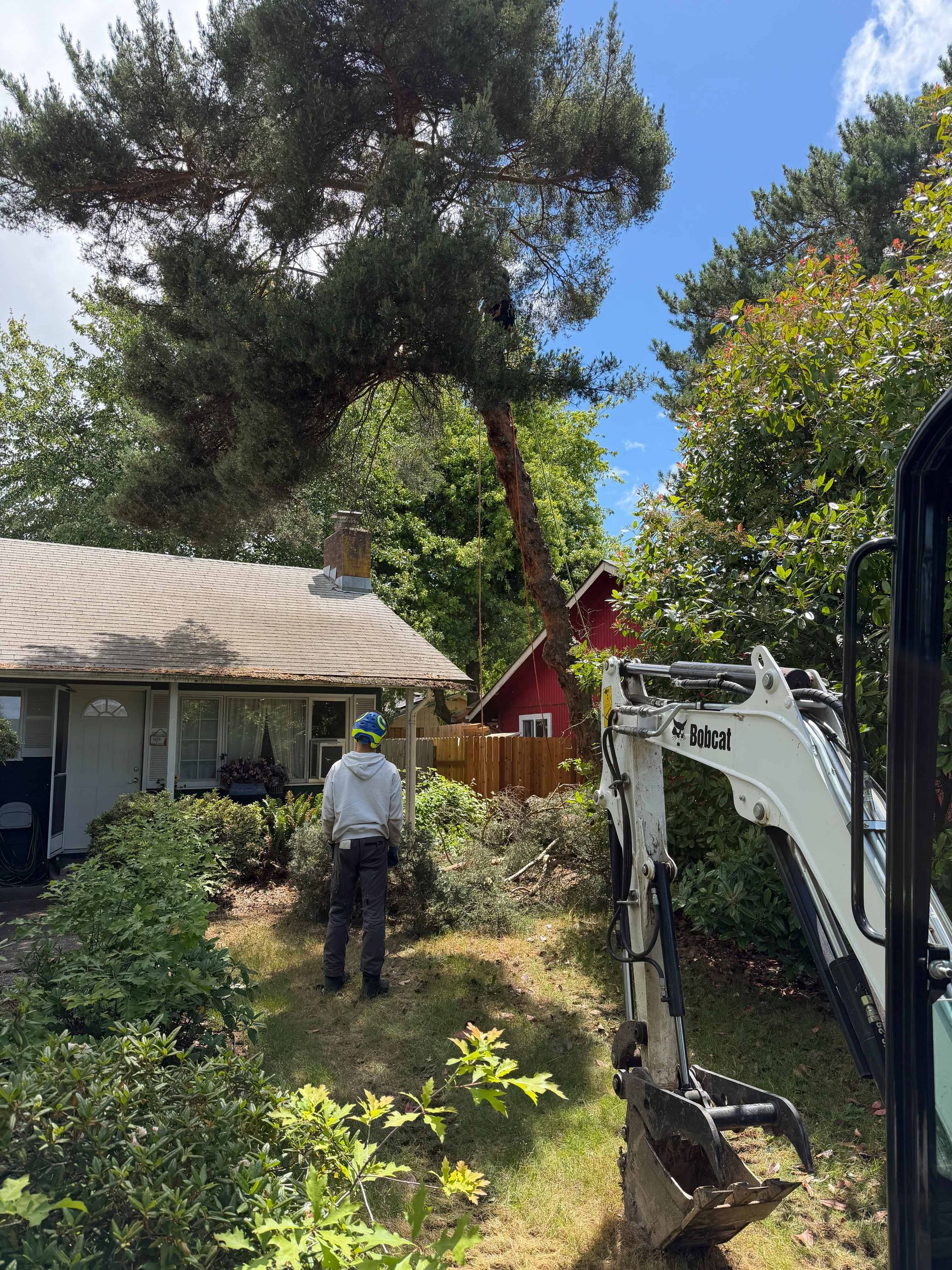 Tree removal work in a yard beside a house, with an excavator and a worker under tall trees.