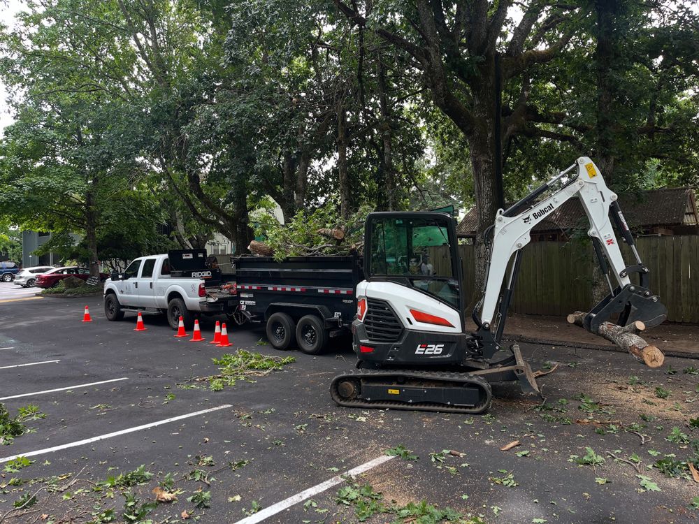 Bobcat excavator loading tree limbs into a dump trailer in a parking lot.