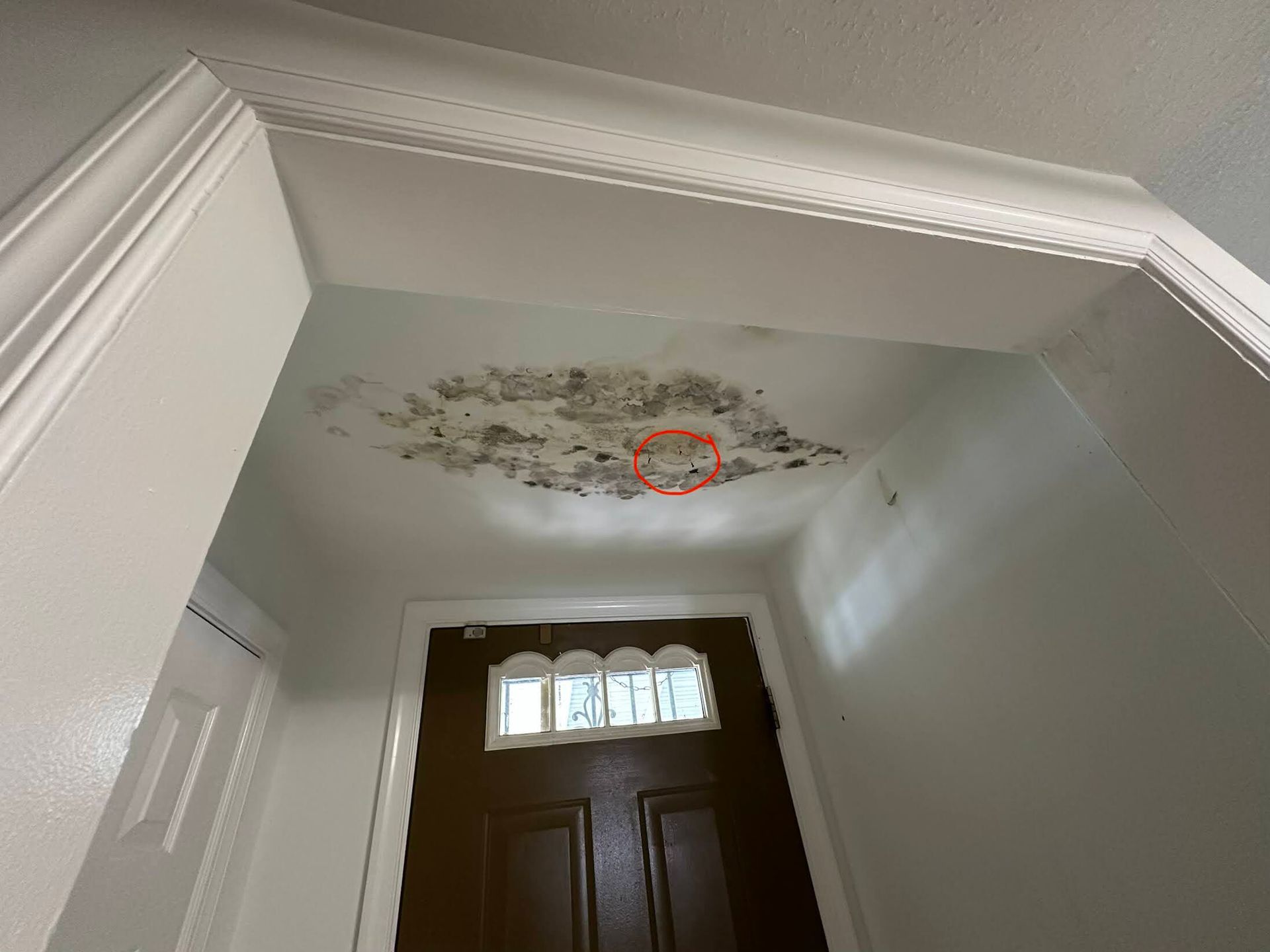 Ceiling with peeling paint and a red-circled stain above a front door in a hallway