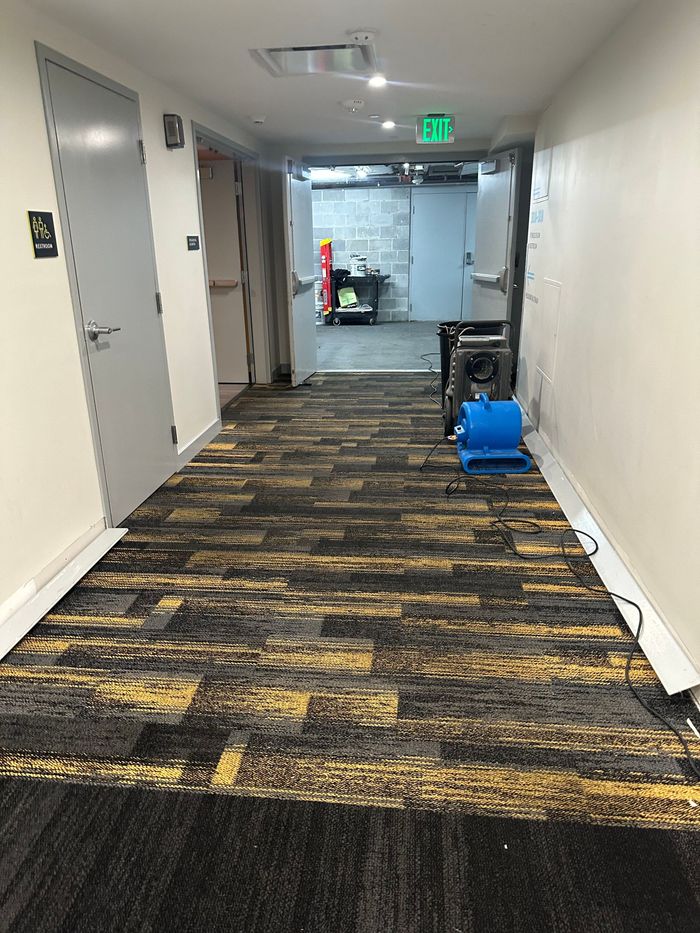 Empty hallway with patterned carpet, white walls, and a green exit sign at the far end