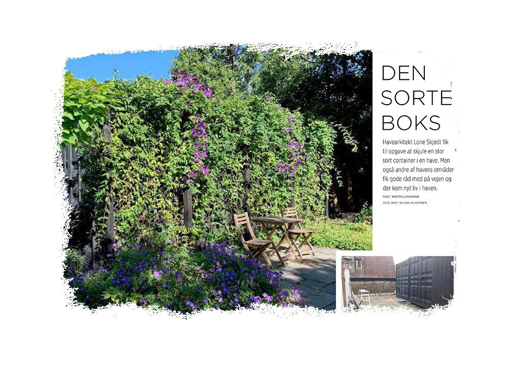Artikel: Den sorte boks