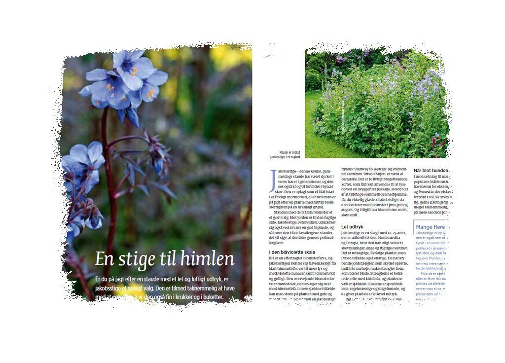Artikel: En stige i himlen