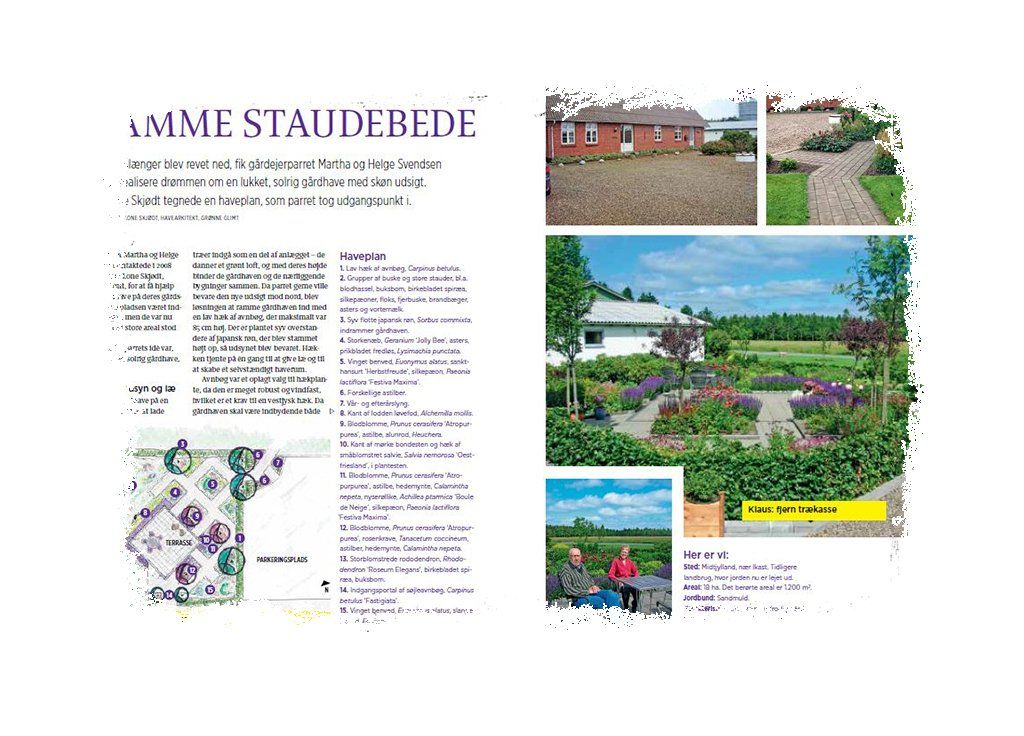 Artikel Fra grå gårdsplads til stramme staudebede