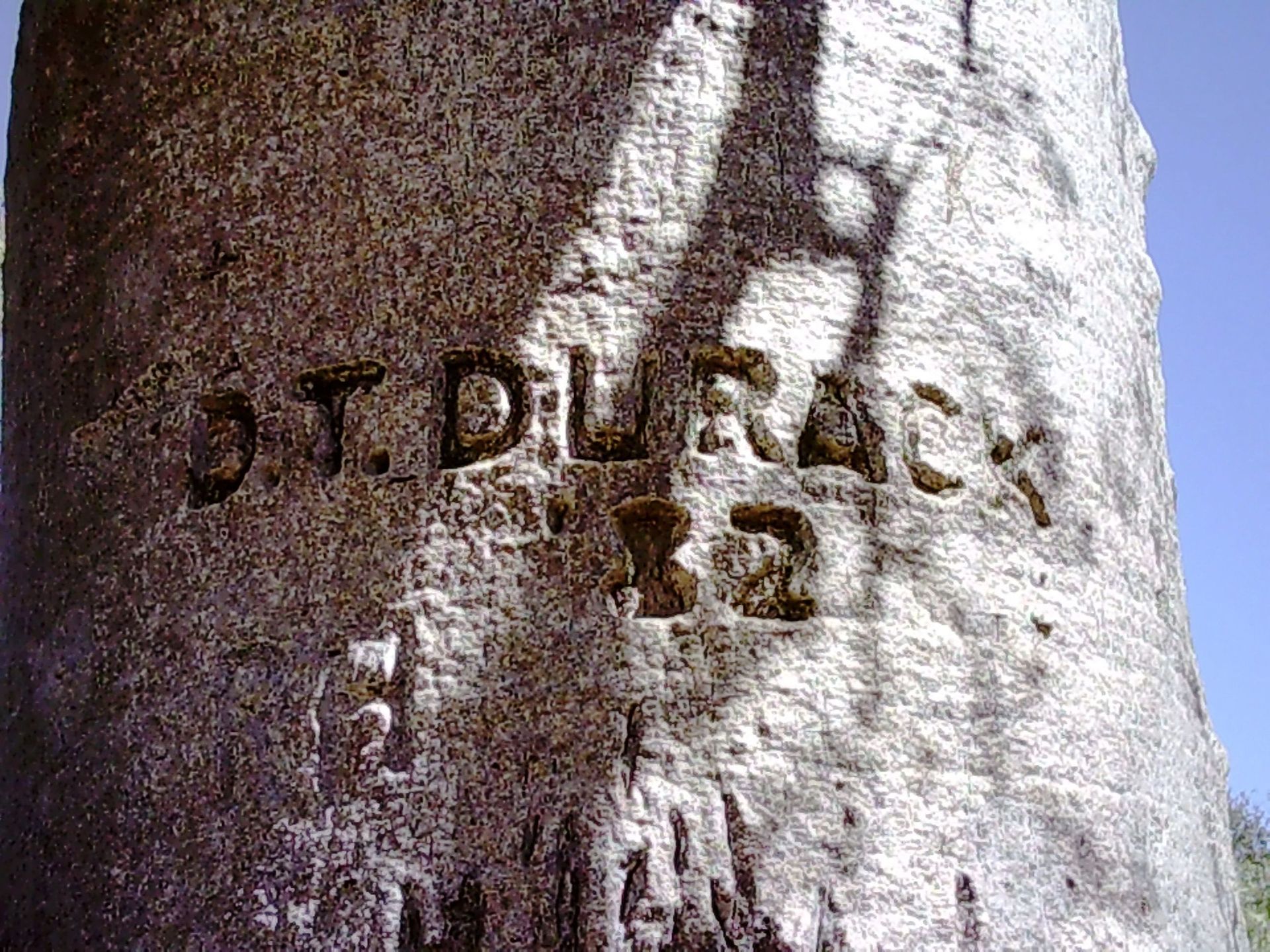 A tree trunk with the name st. durack carved into it