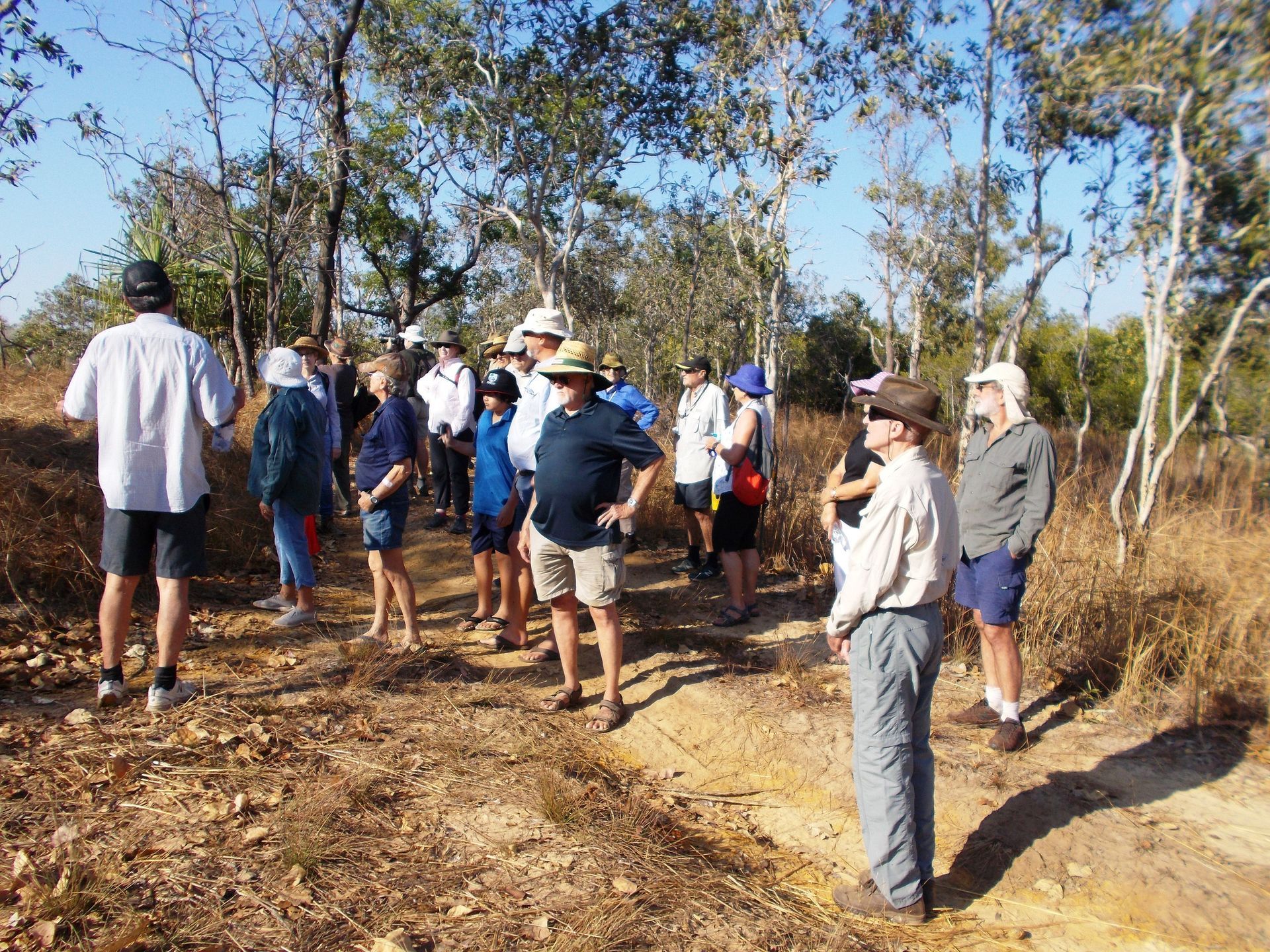A group of people are standing on a dirt path in the woods