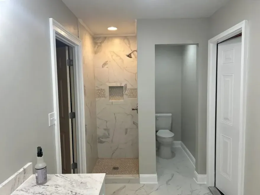 Bathroom with shower, toilet, and door; light gray walls, marble tile, white trim.
