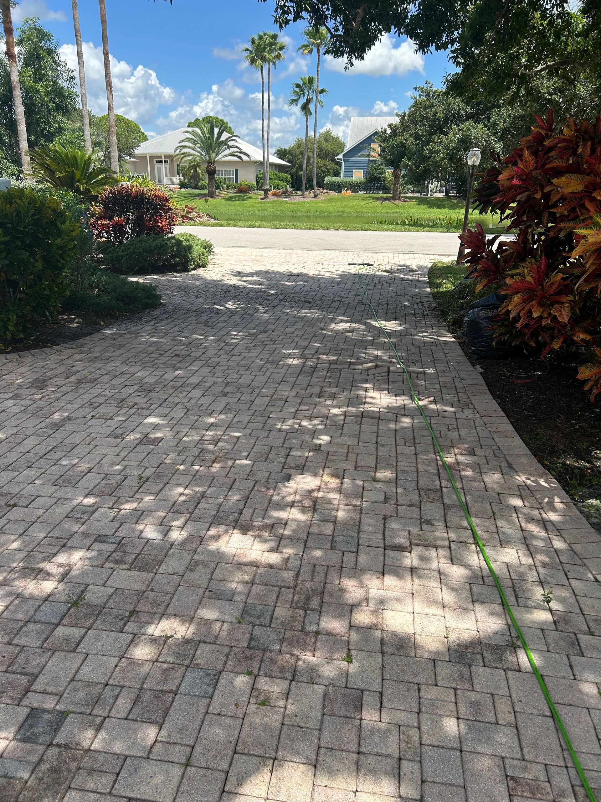 A brick paver driveway leads to a suburban street with palm trees and houses under a clear blue sky.