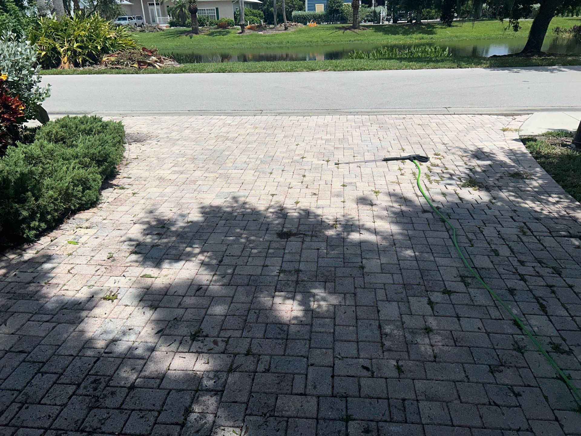 A paved driveway leading to a street, with bushes on the left and a green hose lying across the bricks.