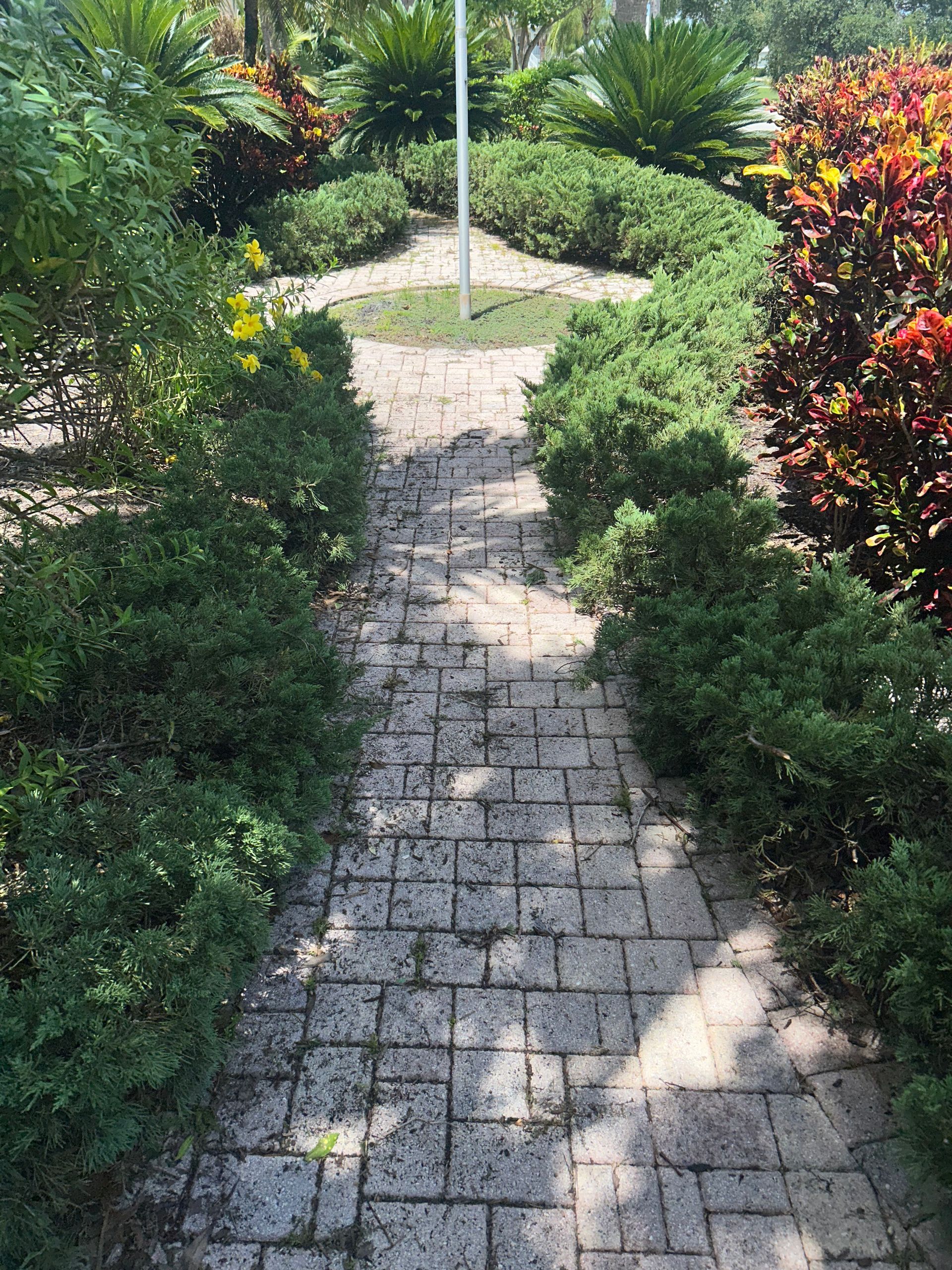 A paved brick path leads to a circular center point, surrounded by lush green bushes and vibrant, multicolored crotons.