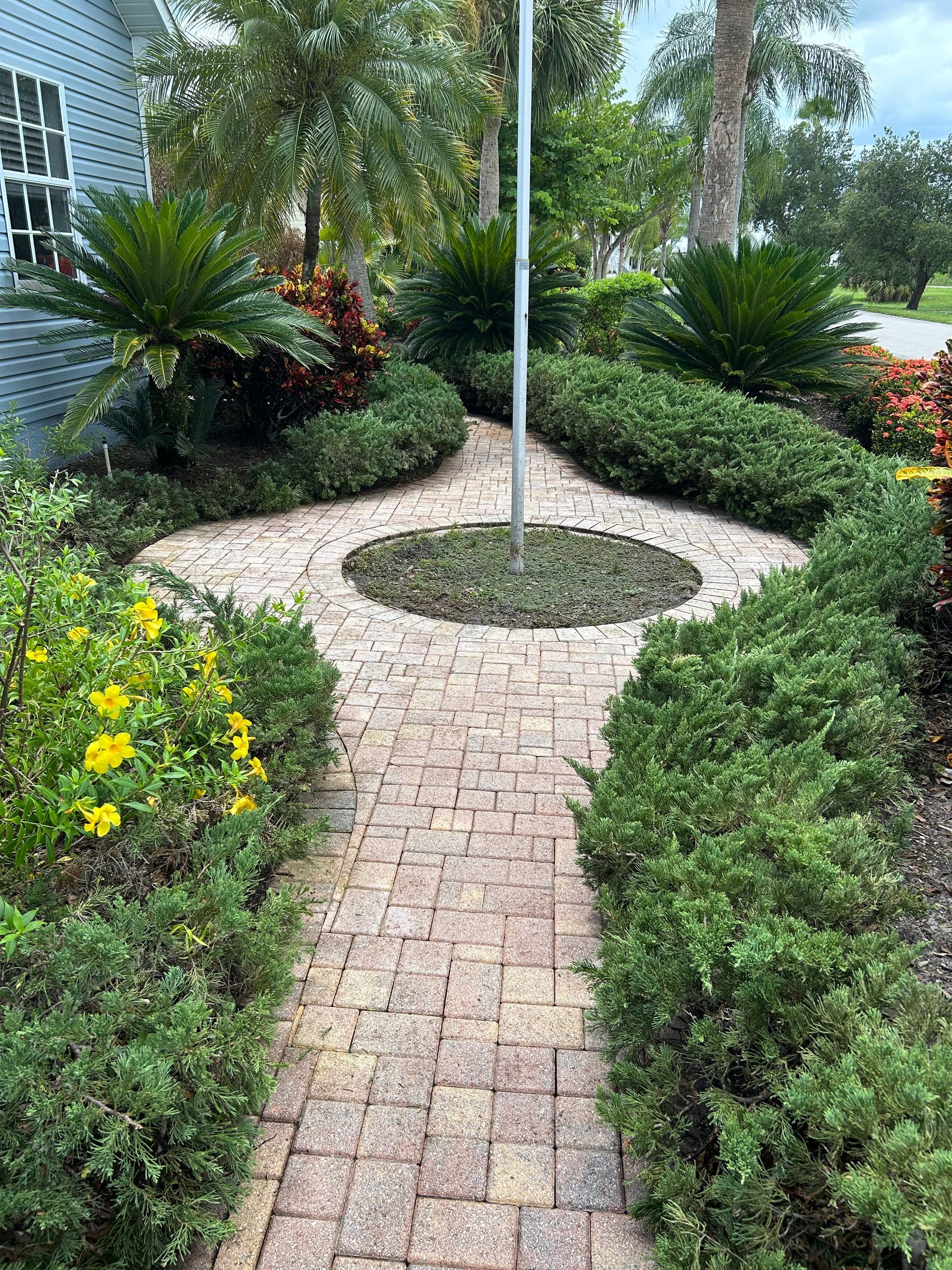 A brick walkway leads to a circular center patch with a flagpole, surrounded by green hedges and shrubs near a blue building.