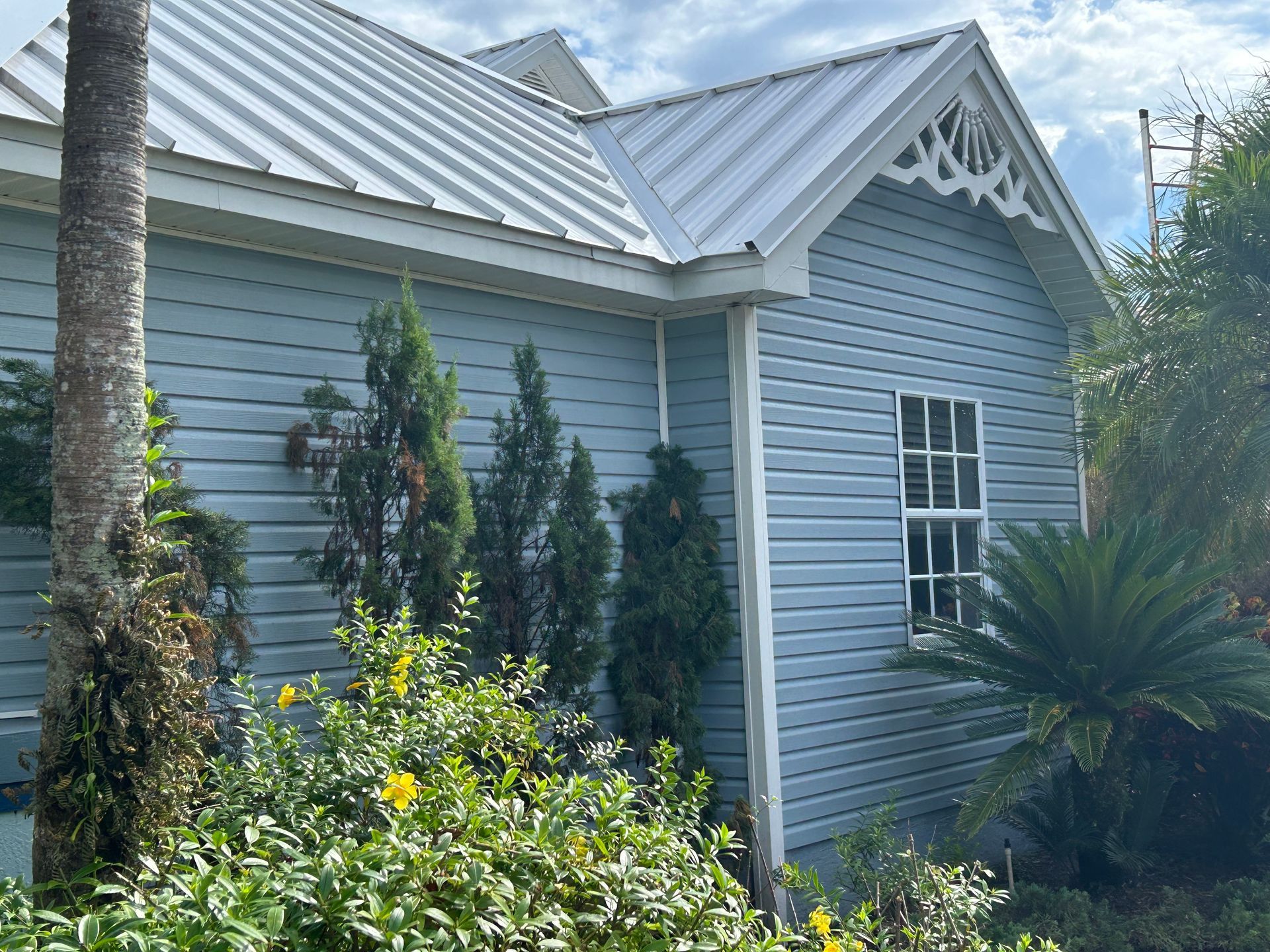 A light blue cottage with horizontal siding and a silver metal roof, framed by trees and yellow flowering bushes.