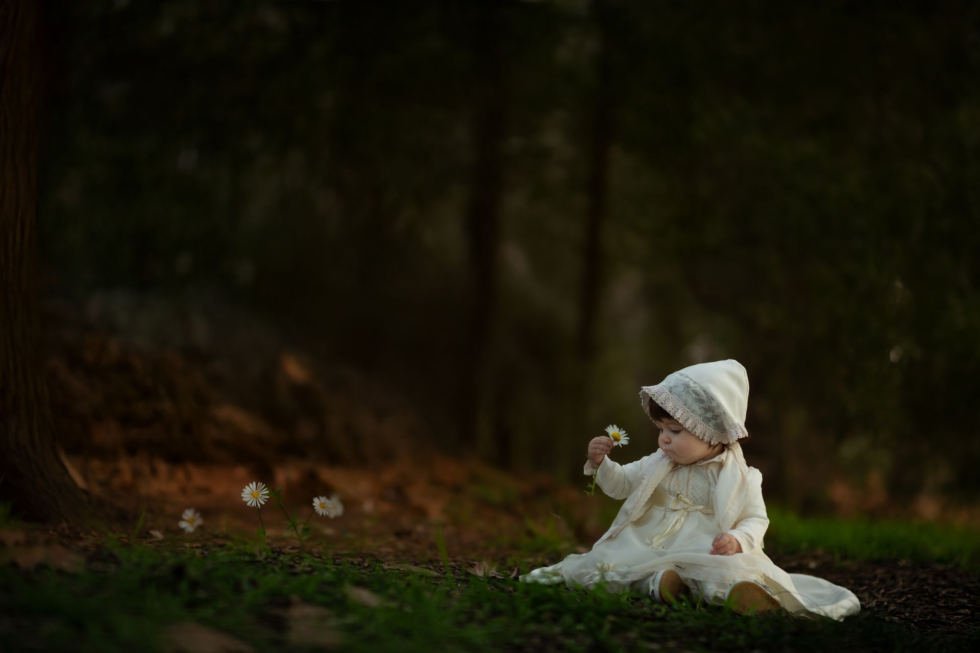 Niño con vestido blanco y cofia soplando semillas de diente de león en un entorno forestal.