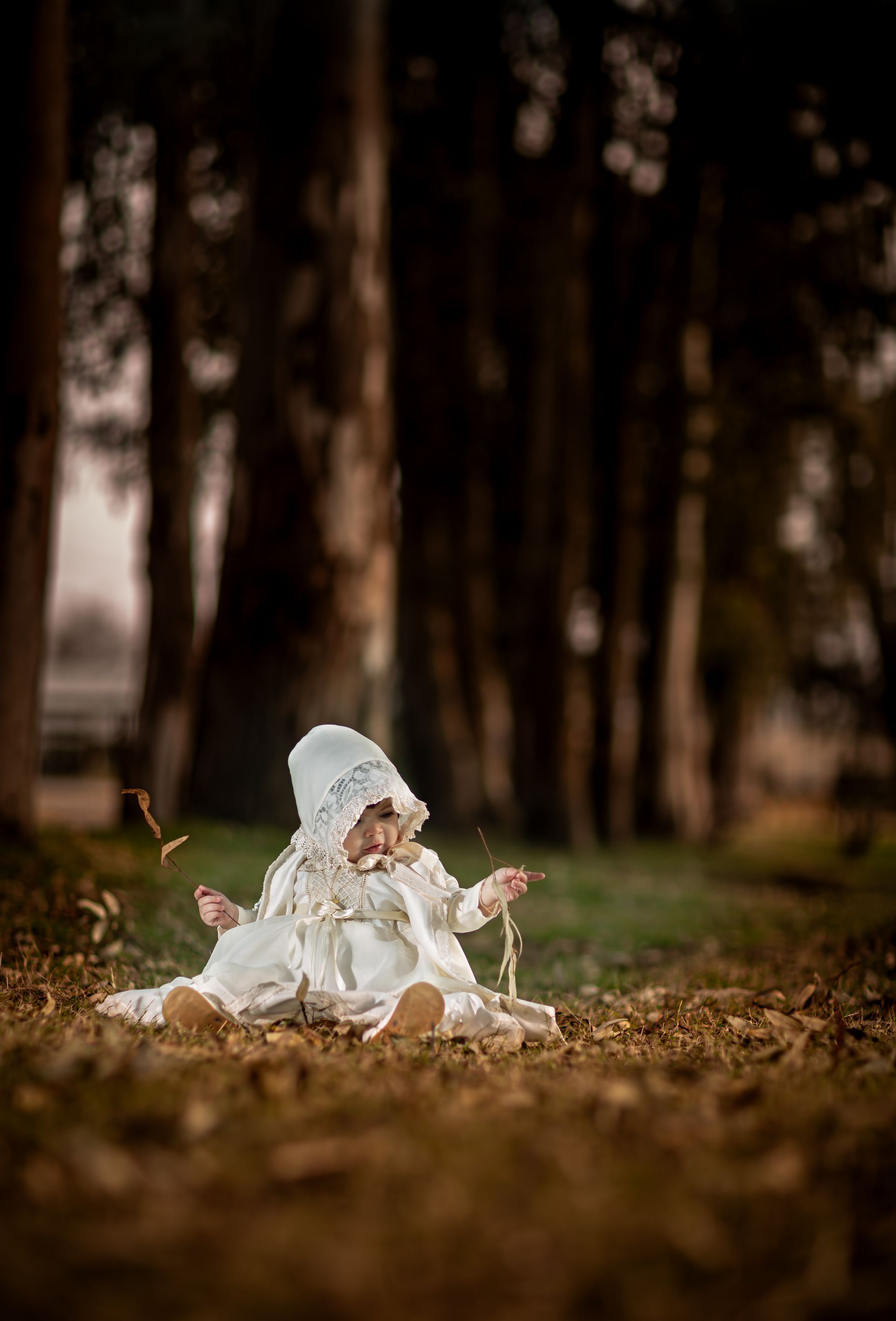 Un bebé vestido de blanco se sienta sobre hojas de otoño, sosteniendo una ramita, con árboles borrosos en el fondo.