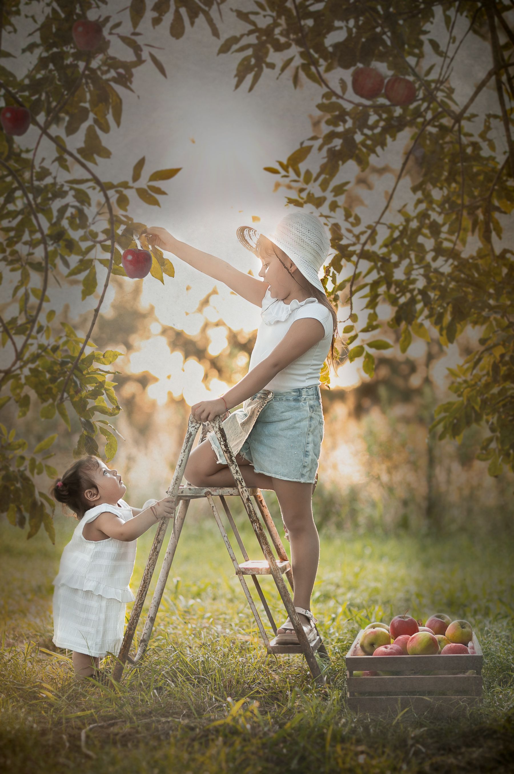 Dos niños recogiendo manzanas de un árbol, uno en una pequeña escalera, luz solar, césped verde, una cesta de manzanas.