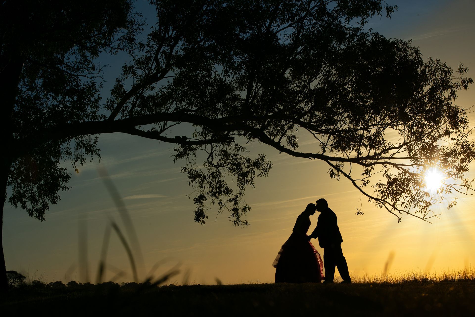 Pareja recortada bajo un árbol al atardecer; están abrazados, con el sol brillando detrás de ellos.