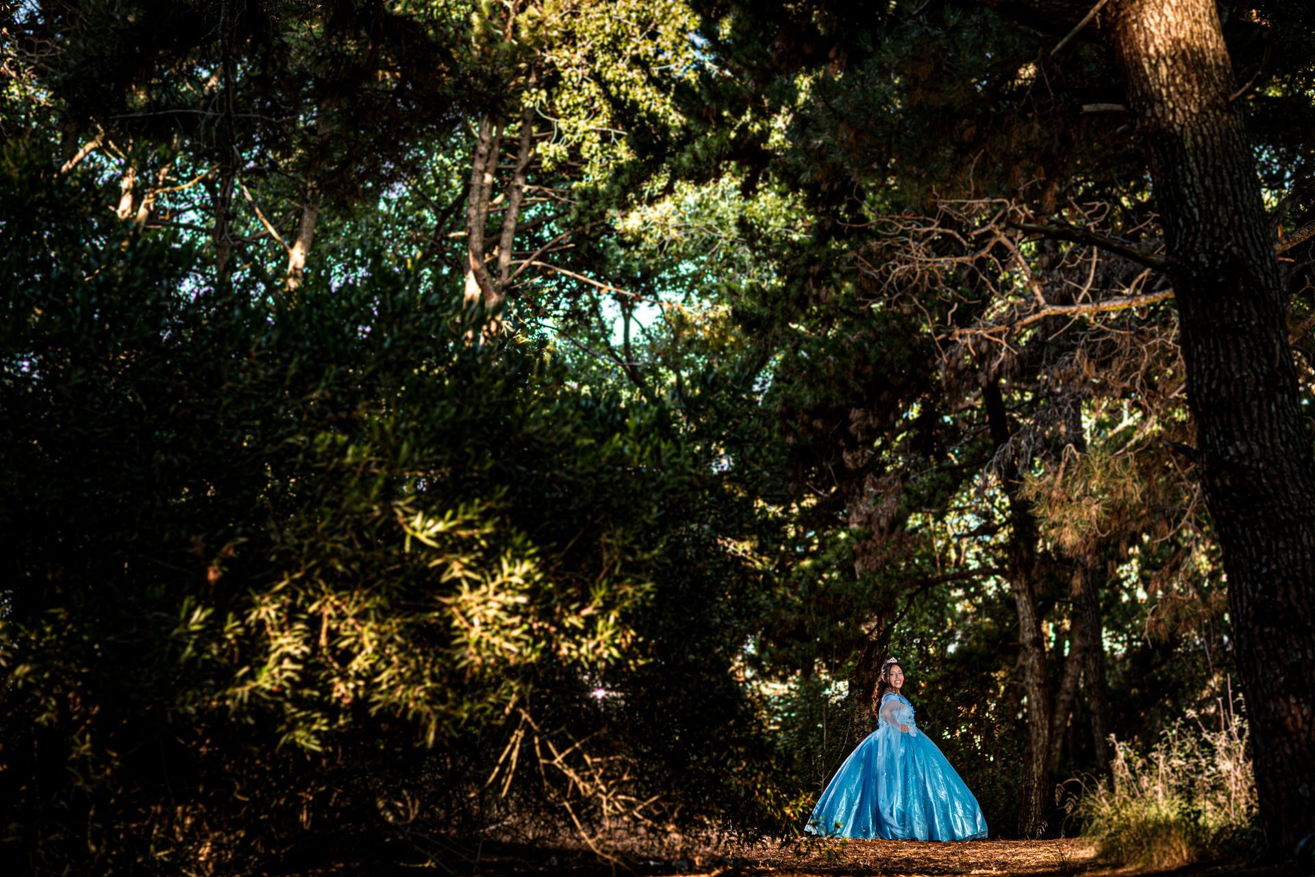 Una persona con un vestido azul se encuentra en un bosque iluminado por el sol.