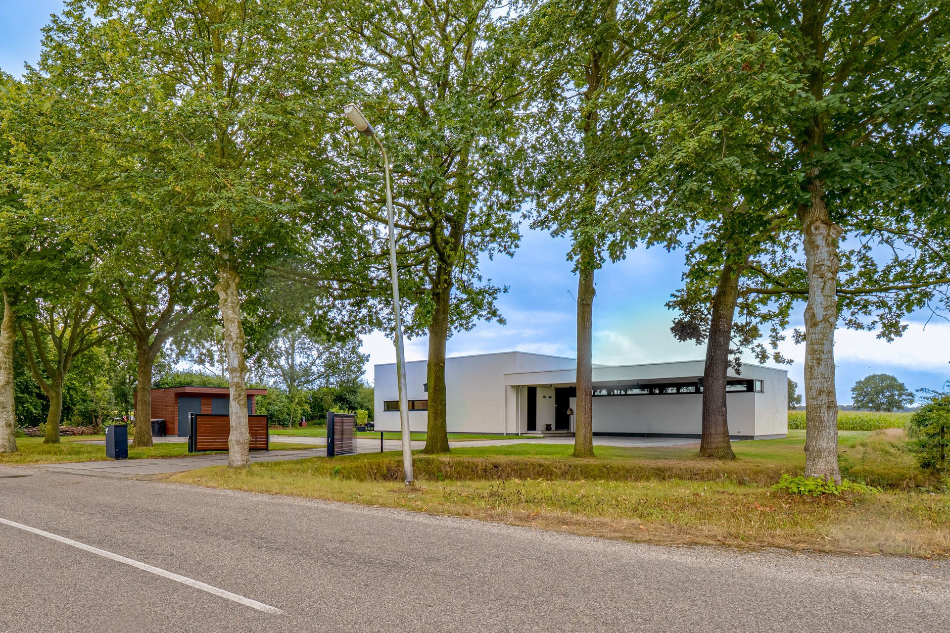 Een met bomen omzoomde weg naast een modern wit gebouw onder een blauwe hemel.