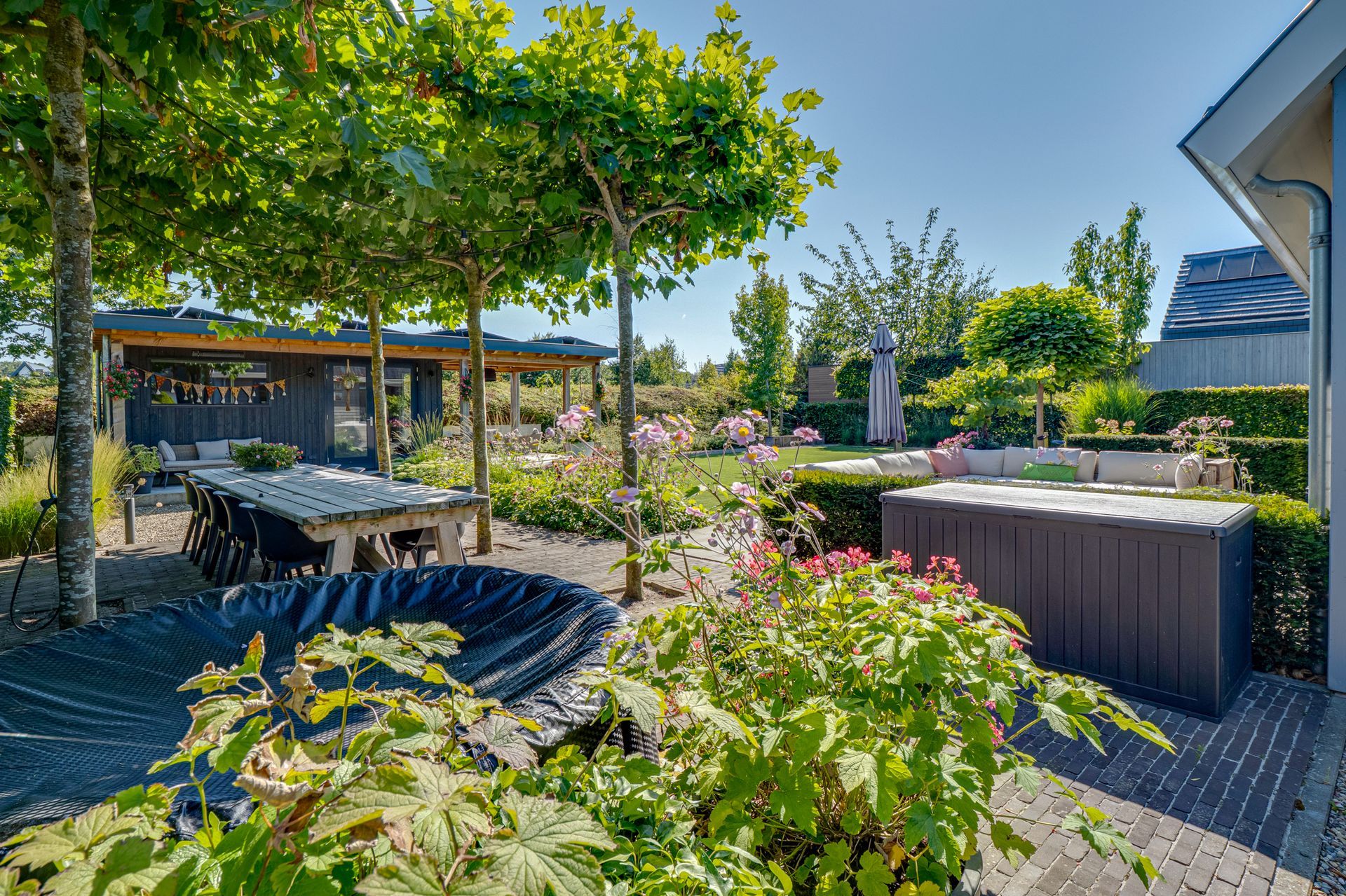 Zonnig terras in de tuin met bomen, bloemen en zitgelegenheid naast een huis.
