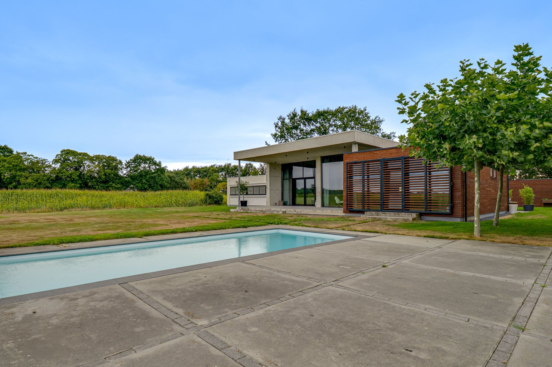 Moderne woning met zwembad en betonnen terras naast een grasveld en bomen.