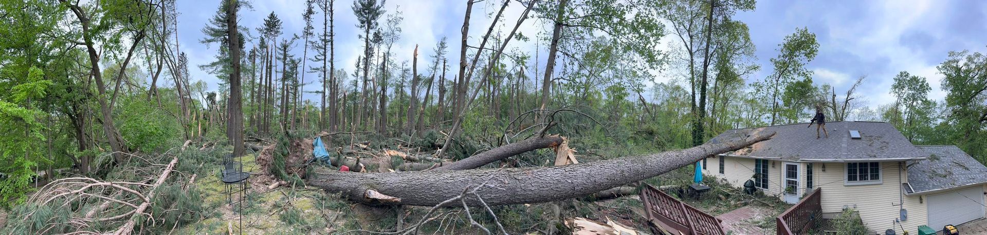 Storm damage with a fallen tree blocking a house in a wooded yard under a blue sky.