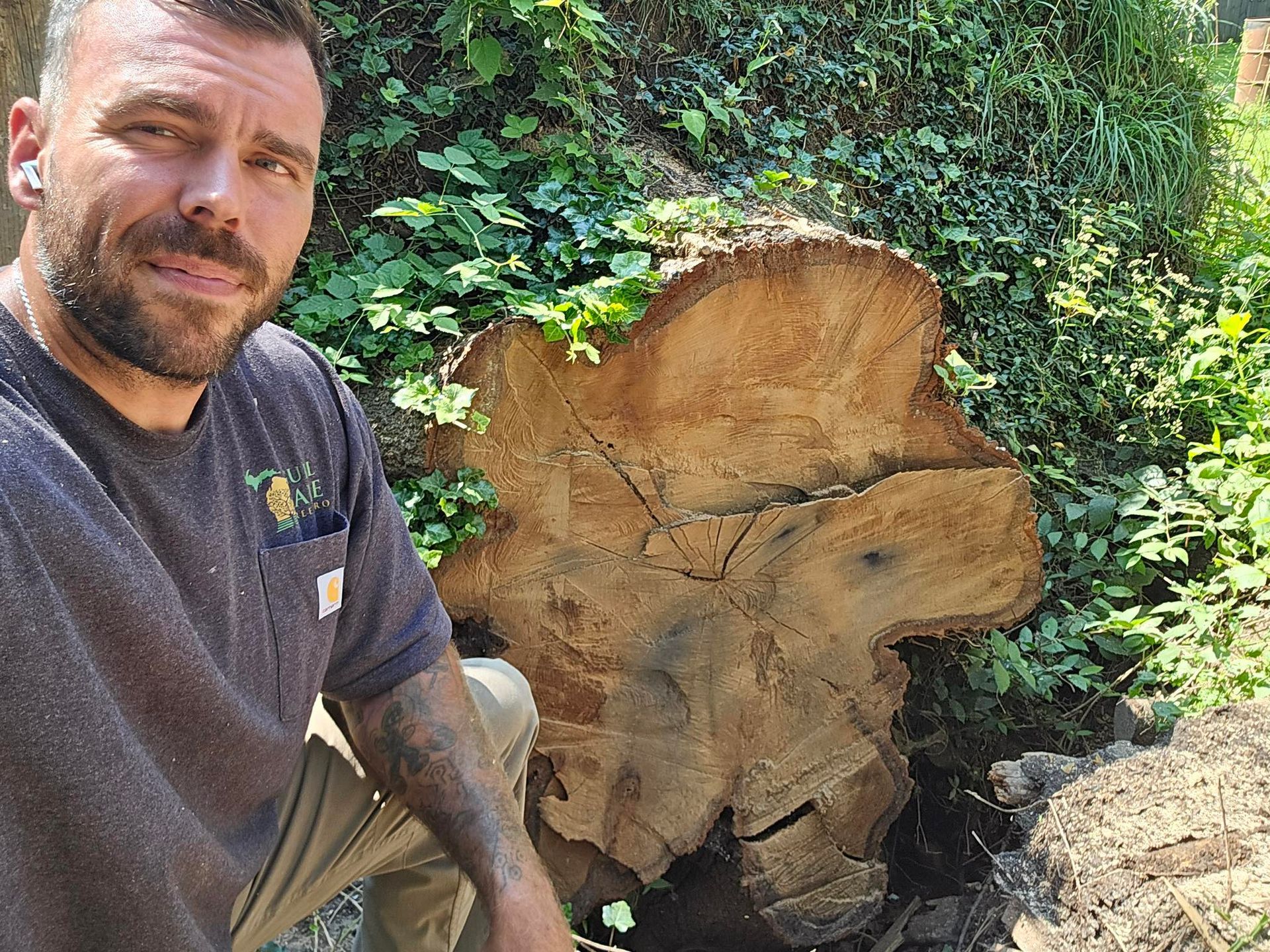 Man crouches beside a large tree stump in a leafy outdoor area