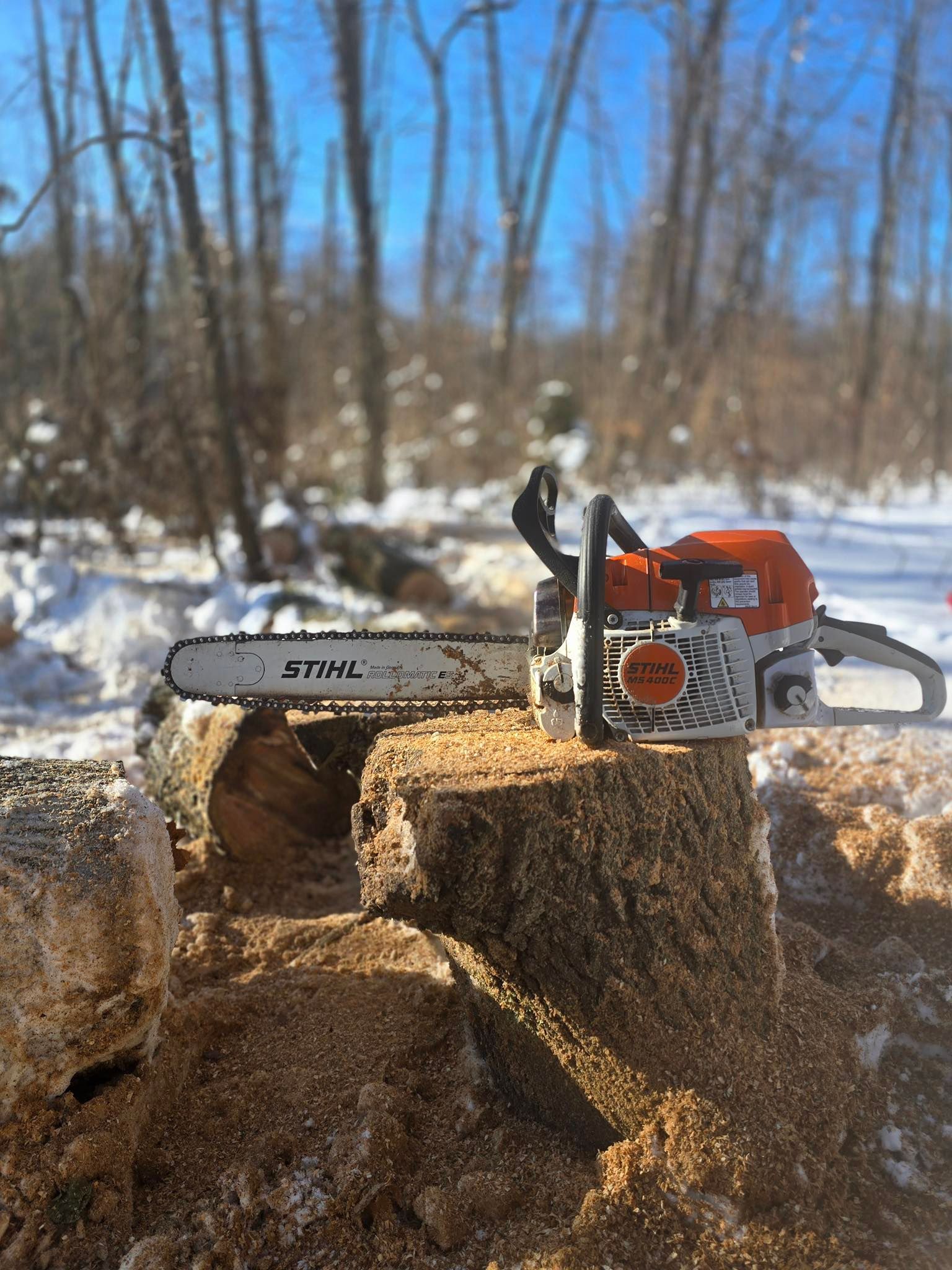 Chainsaw resting on a cut tree stump in a snowy wooded area under a blue sky.