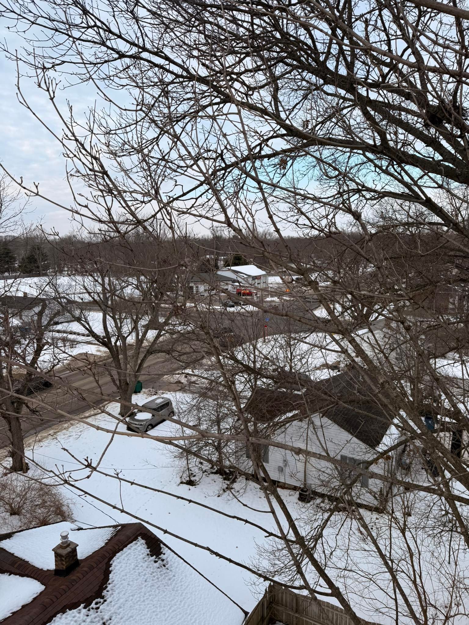 Snow-covered suburban yard with leafless trees and rooftops under a gray winter sky
