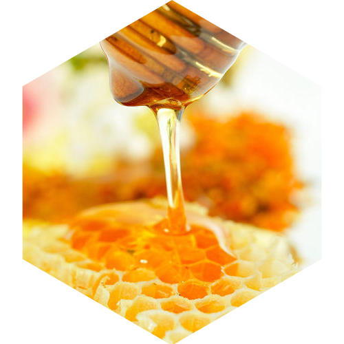 McCoy's Florida Honey Honey spoon pouring honey into a honeycomb