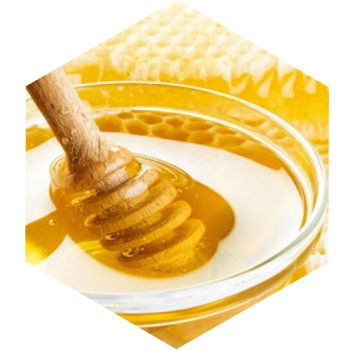 McCoy's Florida Honey honey spoon dipped in light honey